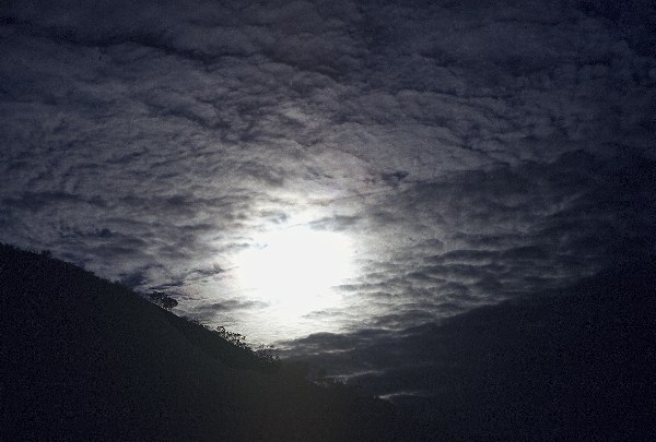 Night. Foto: L. Bobke